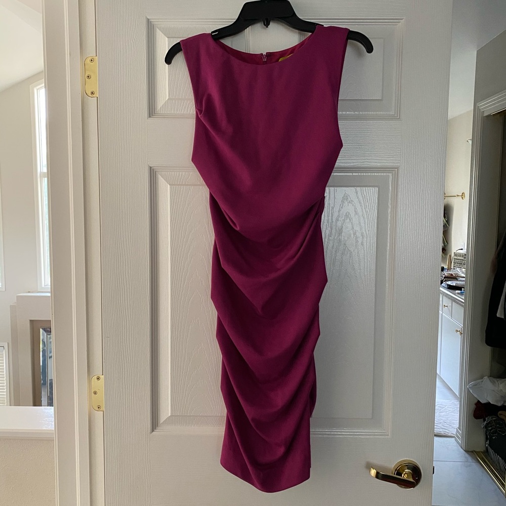 NWOT Nicole Miller Pink Ruched Dress